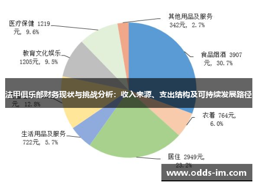 法甲俱乐部财务现状与挑战分析：收入来源、支出结构及可持续发展路径