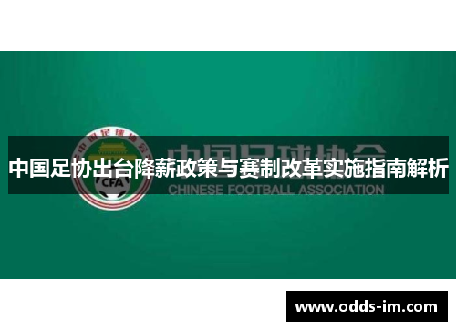 中国足协出台降薪政策与赛制改革实施指南解析
