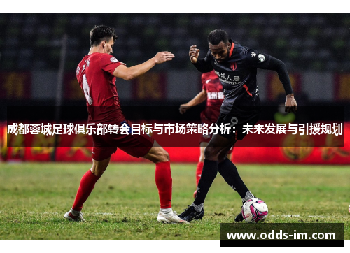 成都蓉城足球俱乐部转会目标与市场策略分析：未来发展与引援规划
