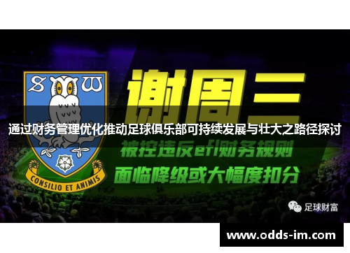 通过财务管理优化推动足球俱乐部可持续发展与壮大之路径探讨