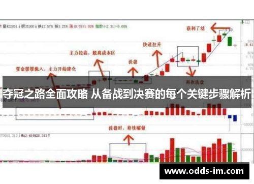 夺冠之路全面攻略 从备战到决赛的每个关键步骤解析
