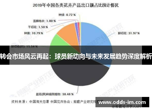 转会市场风云再起：球员新动向与未来发展趋势深度解析