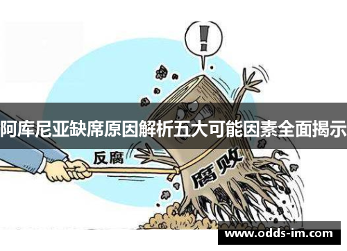 阿库尼亚缺席原因解析五大可能因素全面揭示